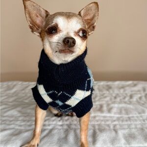 💙 Navy Blue Argyle Knit Dog Sweater – Size XXS 💙